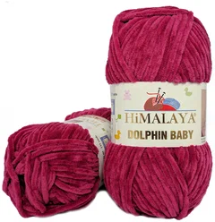 Dolphin Baby Colors